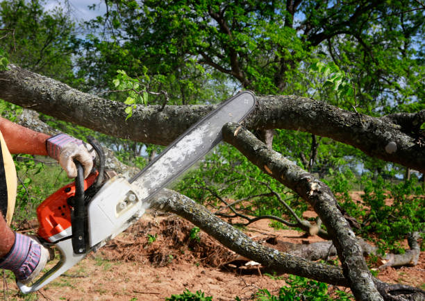 Mulching Services in Grant, NE